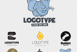 谁能介绍下的cc网页端